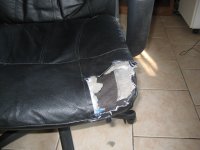The Dog Ate My Chair